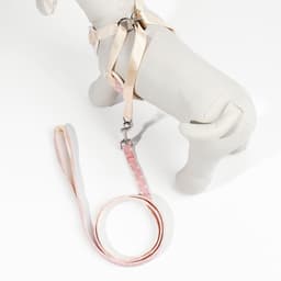 Шлейка с поводком «Горох», размер М, ОГ 34-66 см, поводок 120×1.5 см, розовая