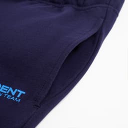 Брюки President, размер М, цвет синий