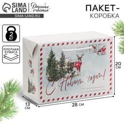 Пакет-коробка подарочный новогодний «С Новым годом», 28×20×13 см