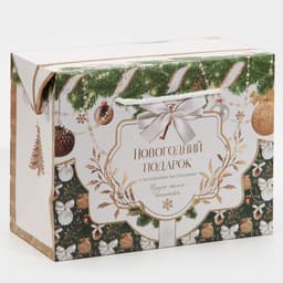 Пакет - коробка подарочный новогодний «Подарок для тебя», 23×18×11 см