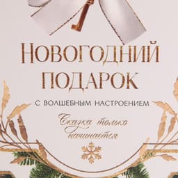 Пакет - коробка подарочный новогодний «Подарок для тебя», 23×18×11 см