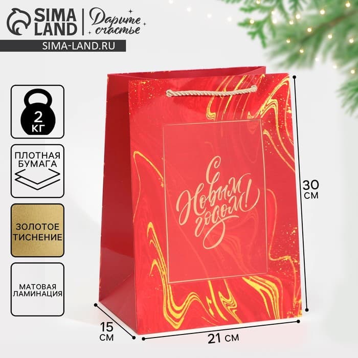 Пакет подарочный новогодний ламинированный «С Новым годом», 21×30×15 см