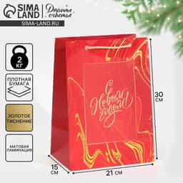 Пакет подарочный новогодний ламинированный «С Новым годом», 21×30×15 см
