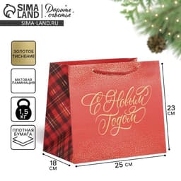 Пакет подарочный новогодний ламинированный «С Новым годом», 25×23×18 см