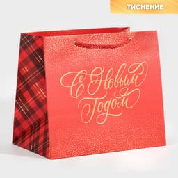 Пакет подарочный новогодний ламинированный «С Новым годом», 25×23×18 см