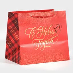 Пакет подарочный новогодний ламинированный «С Новым годом», 25×23×18 см