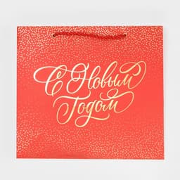 Пакет подарочный новогодний ламинированный «С Новым годом», 25×23×18 см