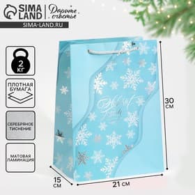 Пакет подарочный новогодний ламинированный «С Новым годом», 21×30×15 см
