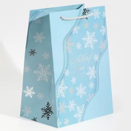 Пакет подарочный новогодний ламинированный «С Новым годом», 21×30×15 см