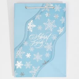 Пакет подарочный новогодний ламинированный «С Новым годом», 21×30×15 см