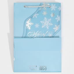 Пакет подарочный новогодний ламинированный «С Новым годом», 21×30×15 см