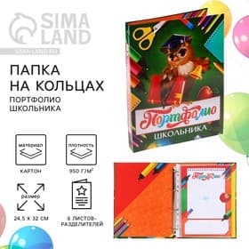 Папка школьная на кольцах «Портфолио школьника», 6 листов-разделителей, 24.5×32 см