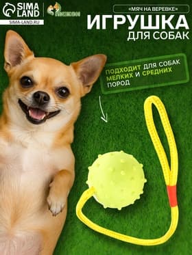 Игрушка для собак, мяч на веревке, 6 см, салатовая, жёлтая