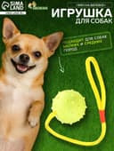Игрушка для собак, мяч на веревке, 6 см, салатовая, жёлтая