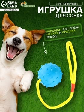 Игрушка для собак, мяч на веревке, 6 см, синяя