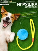Игрушка для собак, мяч на веревке, 6 см, синяя