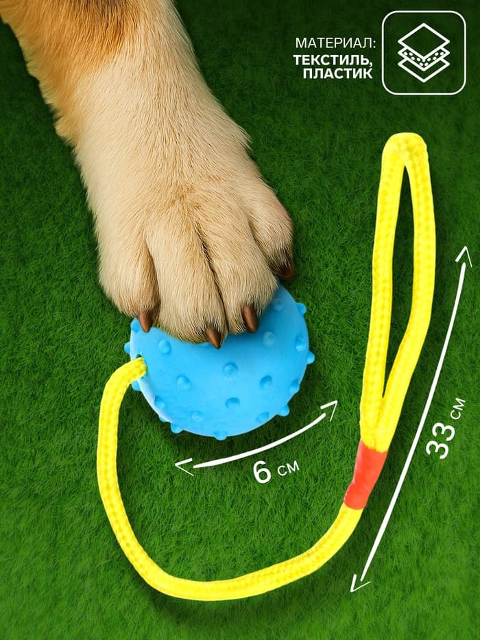 Игрушка для собак, мяч на веревке, 6 см, синяя