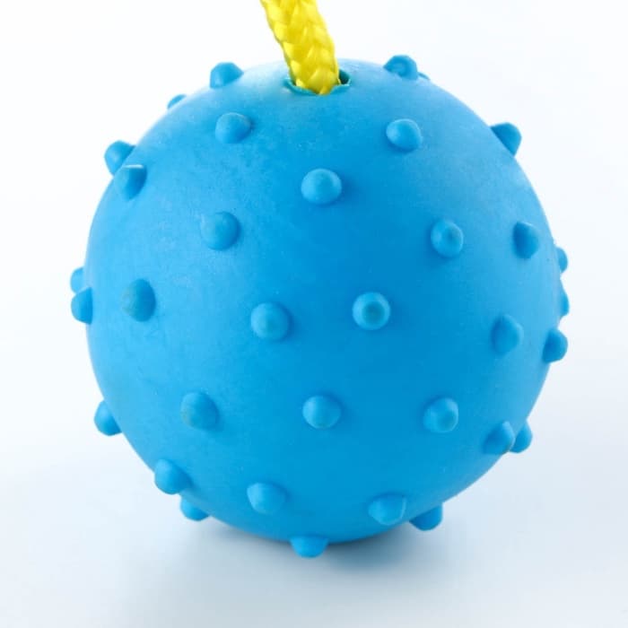 Игрушка для собак, мяч на веревке, 6 см, синяя