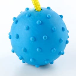Игрушка для собак, мяч на веревке, 6 см, синяя