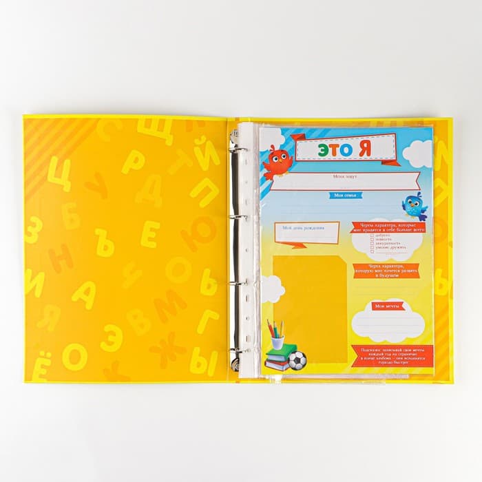 Папка школьная на кольцах «Портфолио дошкольника», 14 листов-разделителей, 24.5×32 см