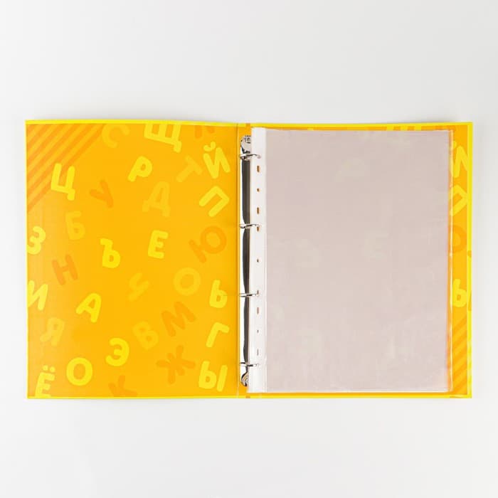 Папка школьная на кольцах «Портфолио дошкольника», 14 листов-разделителей, 24.5×32 см