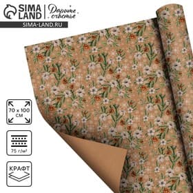 Упаковочная бумага на Новый год крафтовая «Шишки», 70×100 см