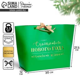 Пакет подарочный новогодний «Счастливого Нового года», 30×27.5×12 см