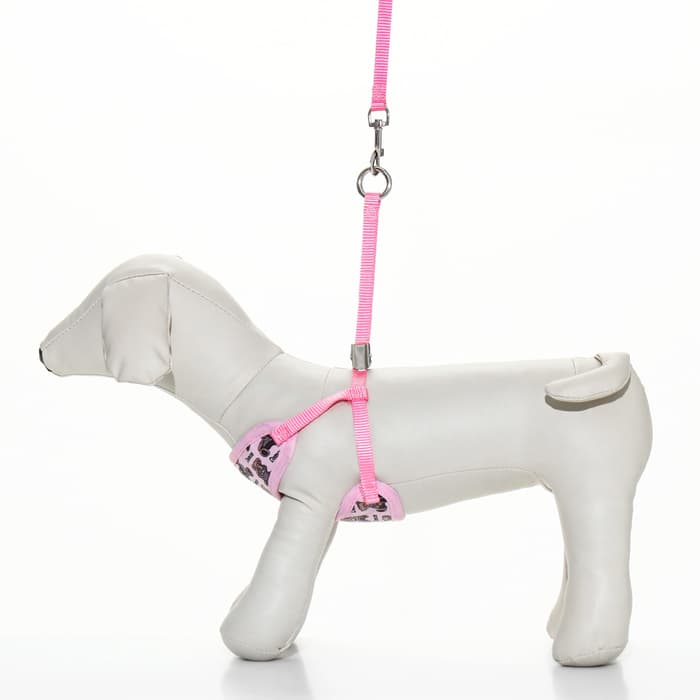 Шлейка с поводком «Дэймон», размер S, поводок 120×1 см см, розовая