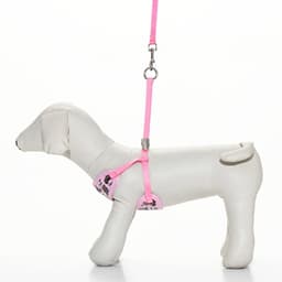 Шлейка с поводком «Дэймон», размер S, поводок 120×1 см см, розовая