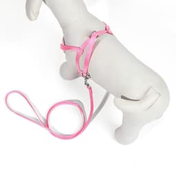 Шлейка с поводком «Дэймон», размер S, поводок 120×1 см см, розовая