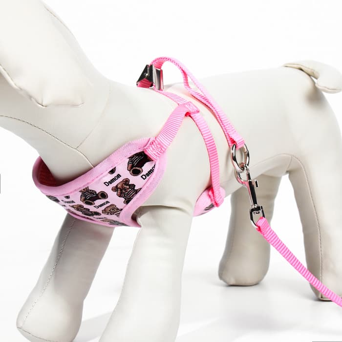 Шлейка с поводком «Дэймон», размер S, поводок 120×1 см см, розовая