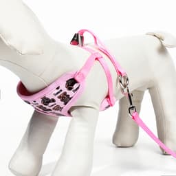 Шлейка с поводком «Дэймон», размер S, поводок 120×1 см см, розовая