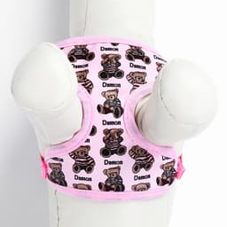 Шлейка с поводком «Дэймон», размер S, поводок 120×1 см см, розовая