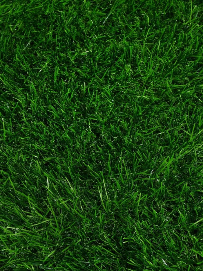 Газон искусственный, для спорта, ворс 40 мм, 1×2 м, зелёный, Greengo