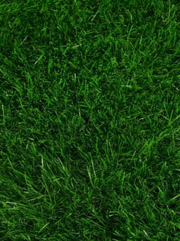 Газон искусственный, для спорта, ворс 40 мм, 1×2 м, зелёный, Greengo