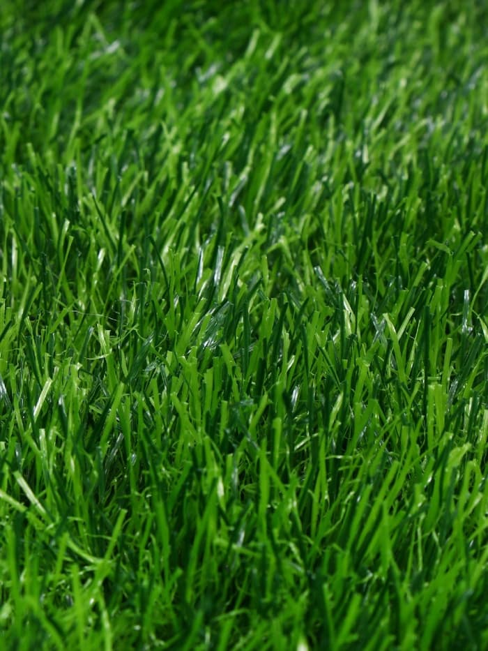 Газон искусственный, для спорта, ворс 50 мм, 1×2 м, зелёный, Greengo