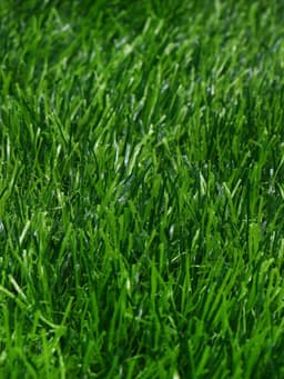 Газон искусственный, для спорта, ворс 50 мм, 1×2 м, зелёный, Greengo