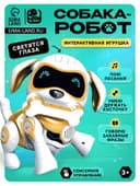 Робот собака «Чаппи» IQ BOT, интерактивный: сенсорный, свет, звук, музыкальный, танцующий, на аккумуляторе, на русском языке, золотой