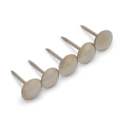 Гвозди ТУНДРА, декоративные, обивочные, 8×15 мм, хром, фасовка 50 шт.