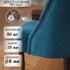 Гвозди ТУНДРА, декоративные, обивочные, 8×15 мм, хром, фасовка 50 шт.