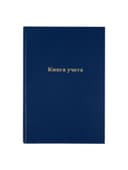 Книга учета, 96 листов, обложка бумвинил, блок газетный, клетка, синяя