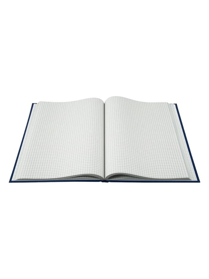 Книга учета, 96 листов, обложка бумвинил, блок газетный, клетка, синяя