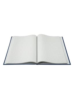 Книга учета, 96 листов, обложка бумвинил, блок газетный, клетка, синяя