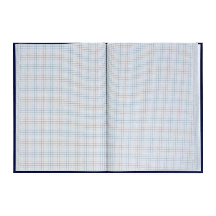 Книга учета, 96 листов, обложка бумвинил, блок газетный, клетка, синяя