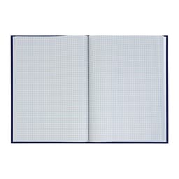 Книга учета, 96 листов, обложка бумвинил, блок газетный, клетка, синяя