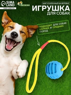 Игрушка «Шар усиленный на веревке», 43 см, шар 6 см, голубой
