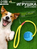 Игрушка «Шар усиленный на веревке», 43 см, шар 6 см, голубой