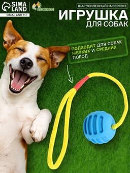 Игрушка «Шар усиленный на веревке», 43 см, шар 6 см, голубой