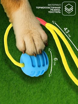 Игрушка «Шар усиленный на веревке», 43 см, шар 6 см, голубой