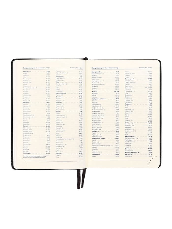 Ежедневник НЕдатированный А5, 136 листов в линейку, кожзам «Небраска», серебряный срез, чёрный